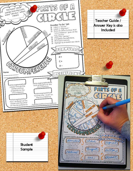 Parts of a Circle Doodle Notes geometry diameter