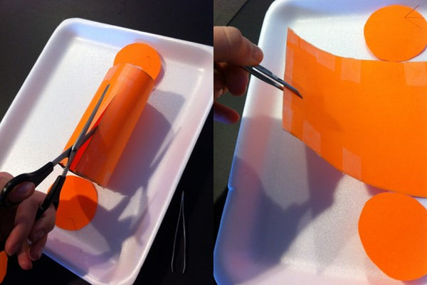 Surface Area of a Cylinder: "Dissection" Investigation