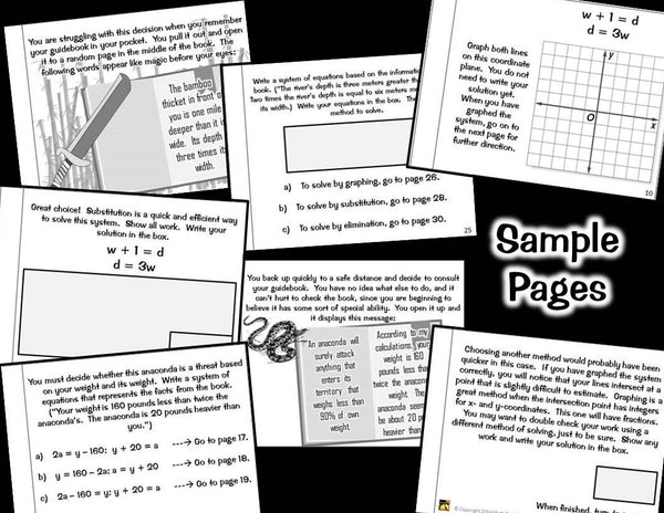 Systems of Equations: "Choose Your Own Journey" book