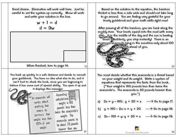 Systems of Equations: "Choose Your Own Journey" book