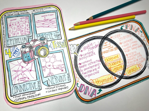 Small Colorful Doodle Note Graphic Organizers science